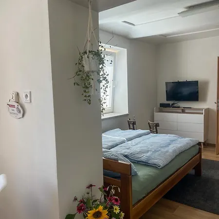 Apartma Se Zahradkou